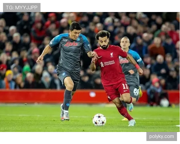 努涅斯与奥斯梅恩进攻全面性及战术适配性的关键差异