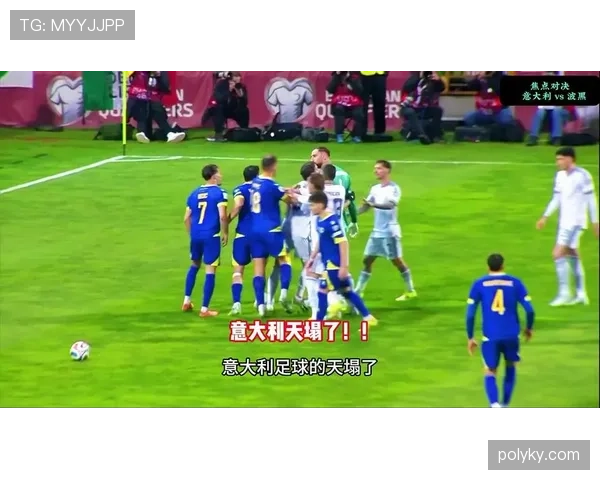 波黑世界杯小组赛总结：首次进入淘汰赛阶段